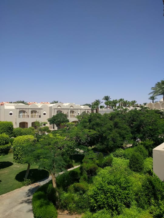 Hinter unserem Zimmer Iberotel Makadi Beach