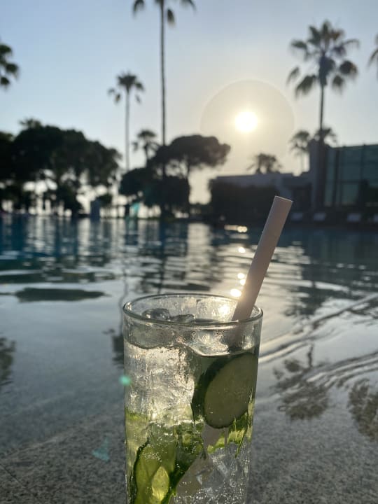 Pool Acanthus Cennet Barut Collection