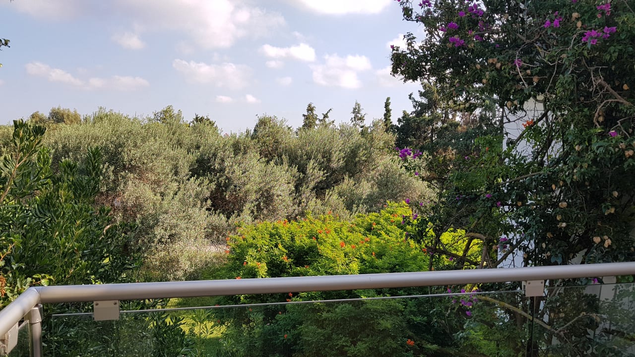 Ausblick Caravia Beach Hotel