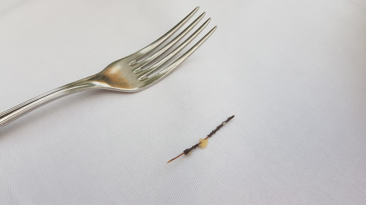 Gastro Hotel Goldener Ochs