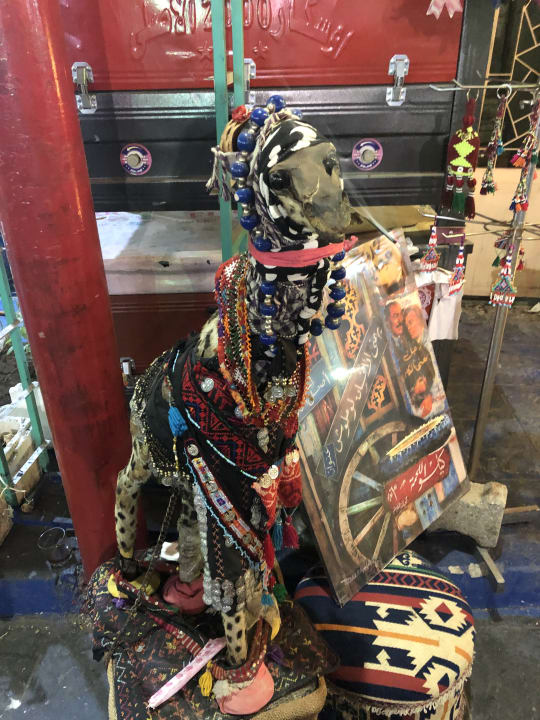 Sonstiges Pickalbatros Aqua Park Resort - Sharm El Sheikh