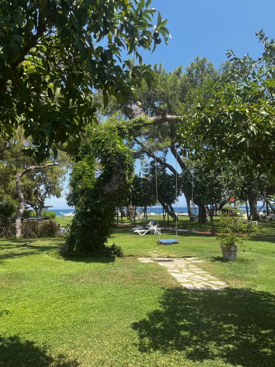 Sonstiges TUI MAGIC LIFE Beldibi +16