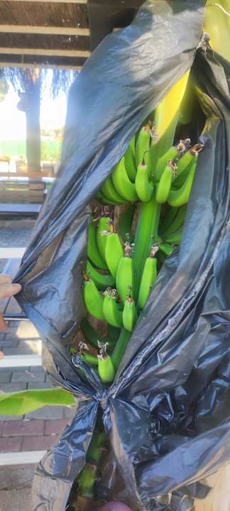 Sport & Freizeit J'adore Deluxe Hotel & Spa