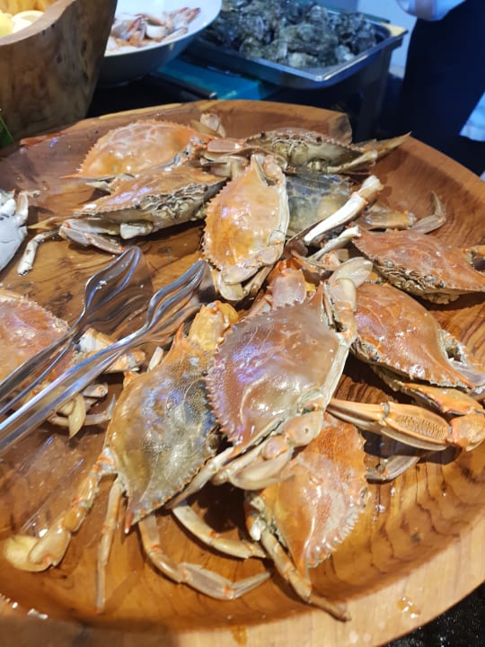 Gastro Hotel Delphin Imperial