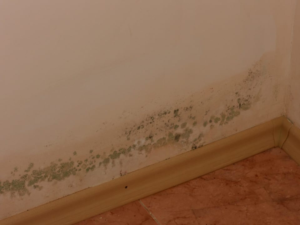 Schimmel imHotel Pelikan Duni Royal Pelican Resort