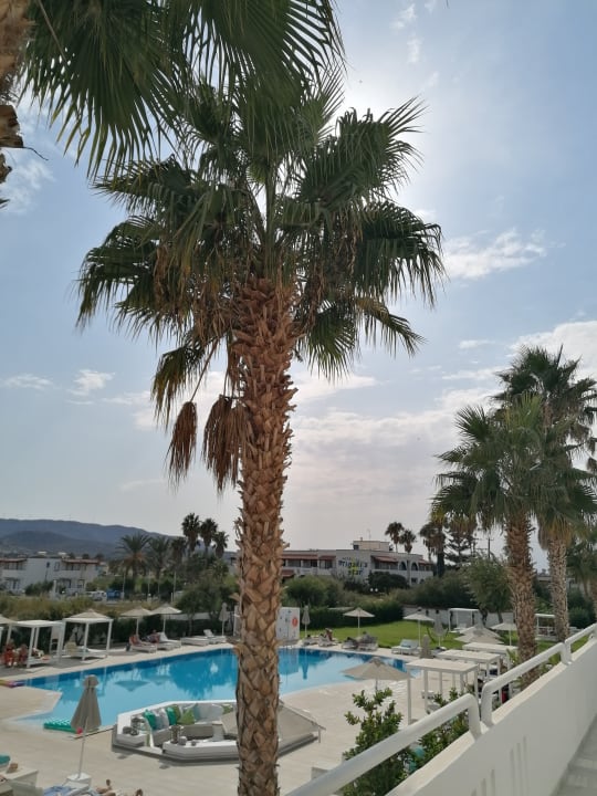Pool Gaia In Style - Adults only
