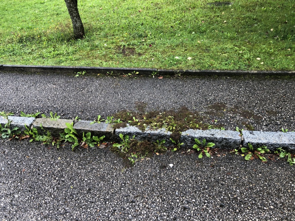 Gartenanlage Aldiana Club Ampflwang