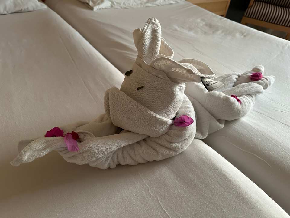 Zimmer Hotel JAZ Makadi Star & Spa