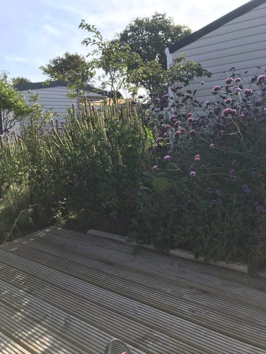 Ausblick Ferienpark De Witte Boulevard