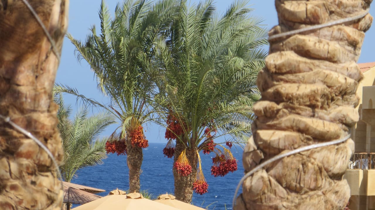 Ausblick Coral Hills Resorts & SPA