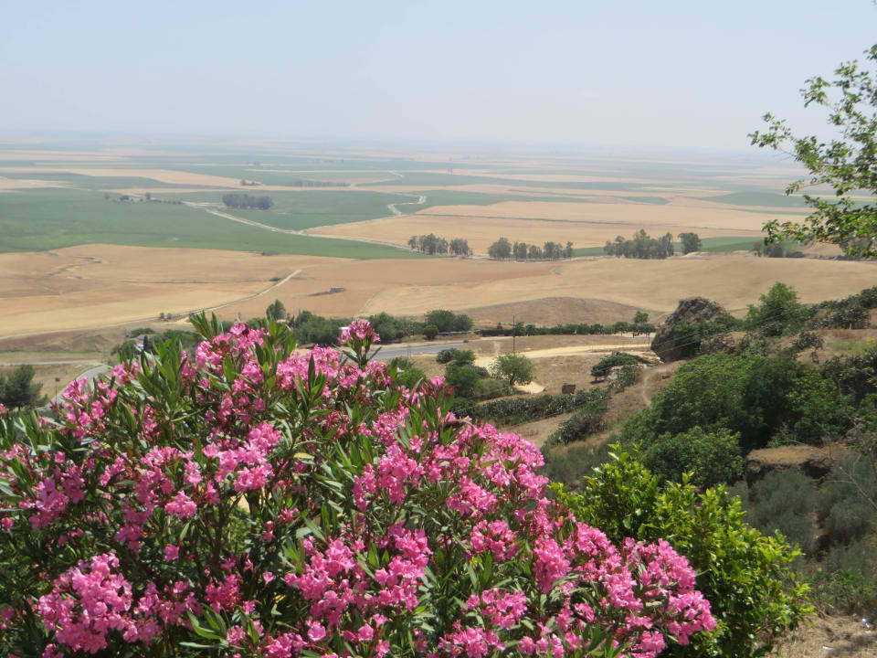 Blick vom Parador in die Ebene Hotel Parador de Carmona