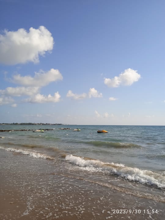 Strand Arum Barut Collection