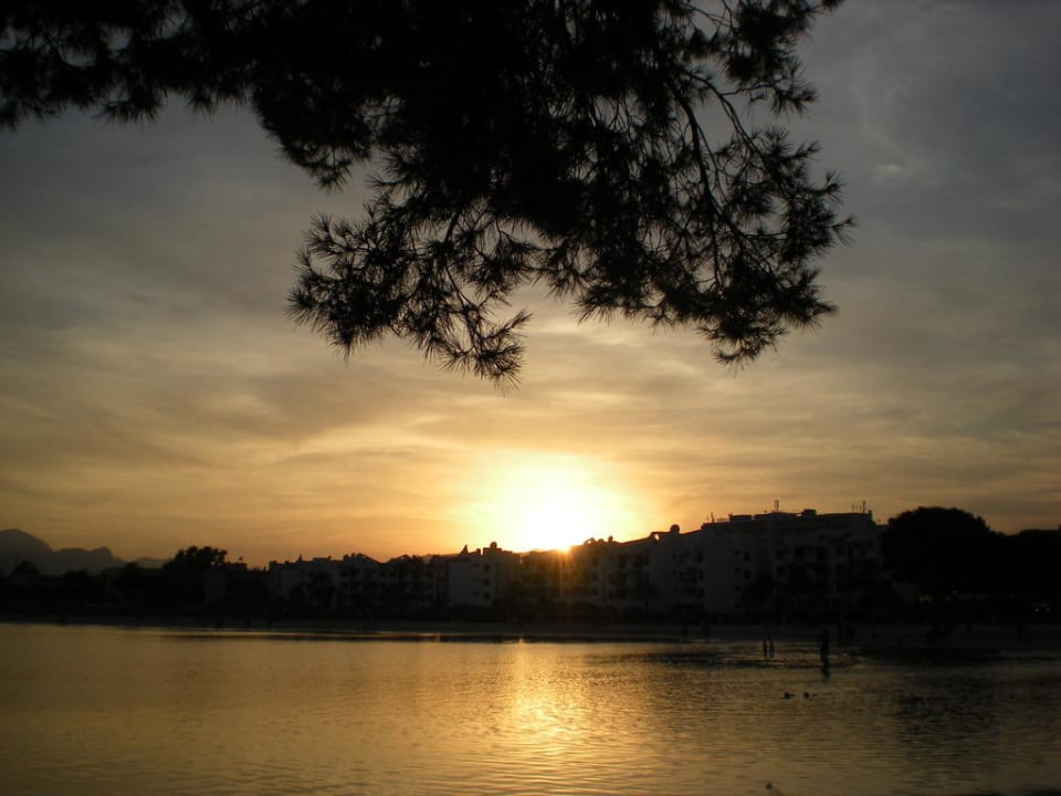 Sonnenuntergang VIVA Golf - Adults only 18+