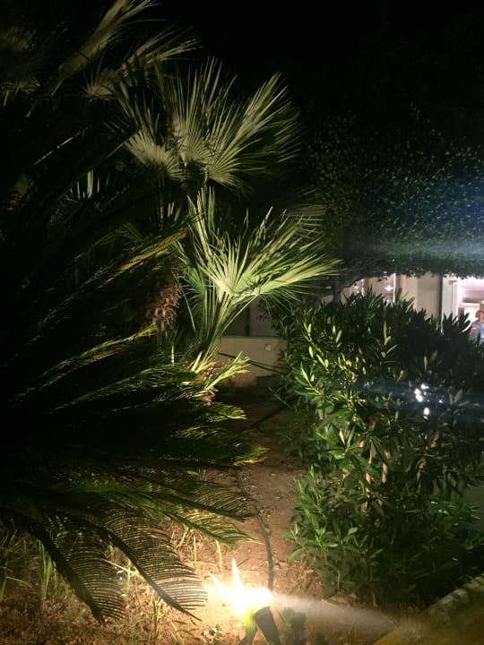 Außenansicht Dessole Dolphin Bay Resort