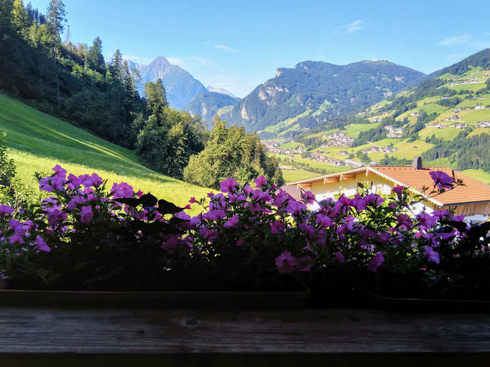Ausblick Apartments Fleidl