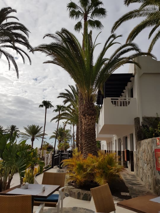 Gastro Corallium Beach by Lopesan Hotels - Adults only