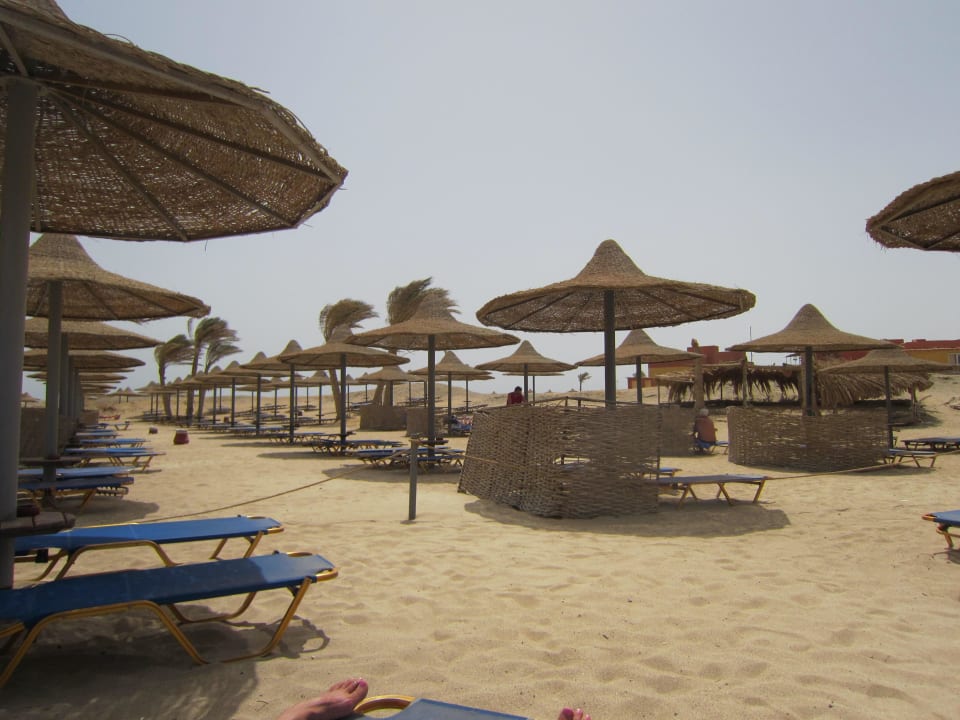 Nix mit Liegenreservation am Strand  Malikia Resort Abu Dabbab
