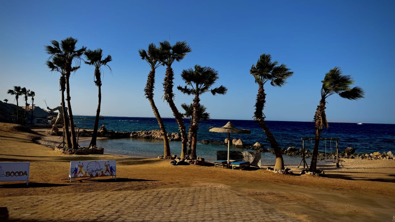 Strand Pickalbatros Citadel Resort