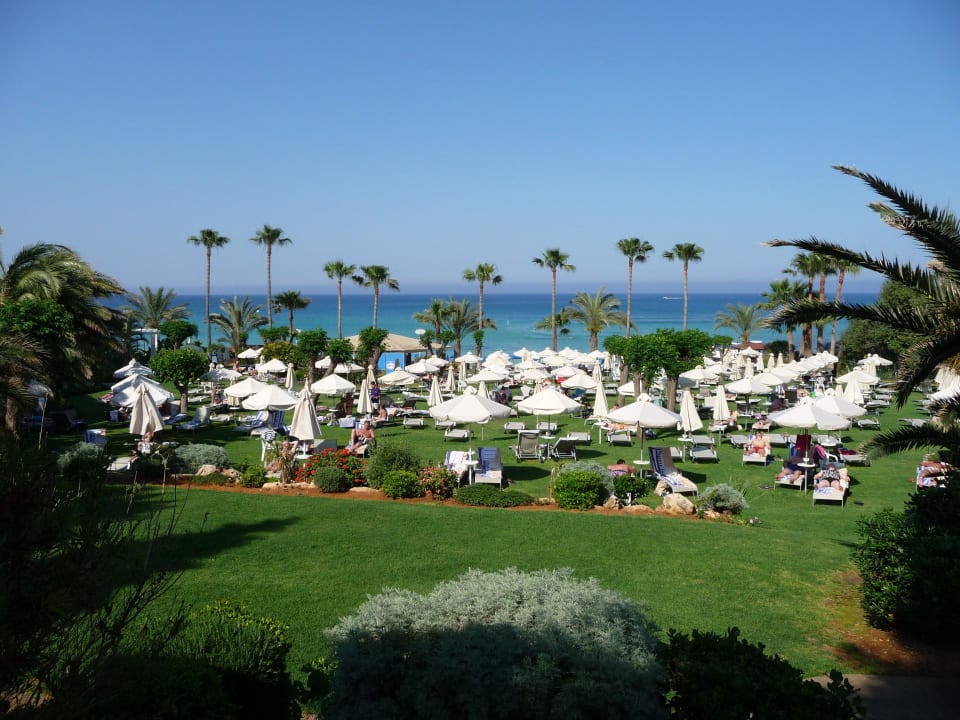 Liegewiese am Strand Hotel Sunrise Beach