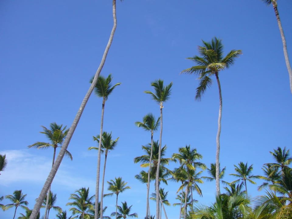 Palmen Villas Bavaro Resort & Spa