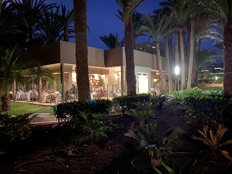 Gartenanlage Hotel Riu Palace Oasis