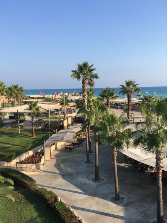 Ausblick TUI BLUE Palm Garden