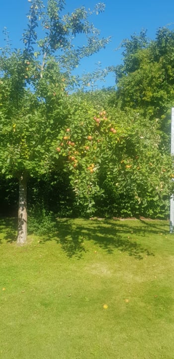 Gartenanlage Haus Sonnenschein