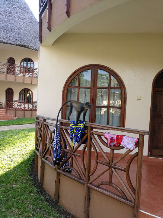 Zimmer Neptune Paradise Beach Resort & Spa