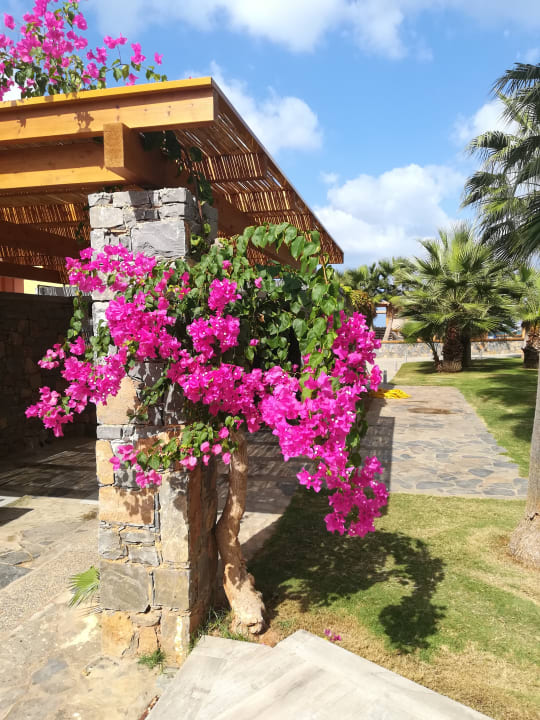 Gartenanlage Calimera Sirens Beach