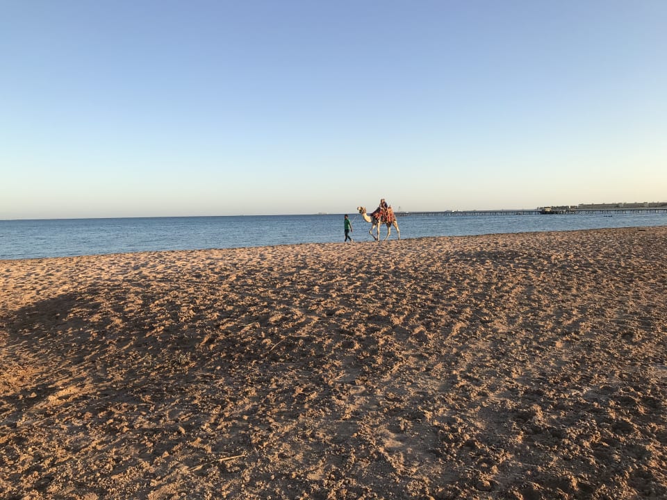 Strand Sentido Caribbean World Soma Bay