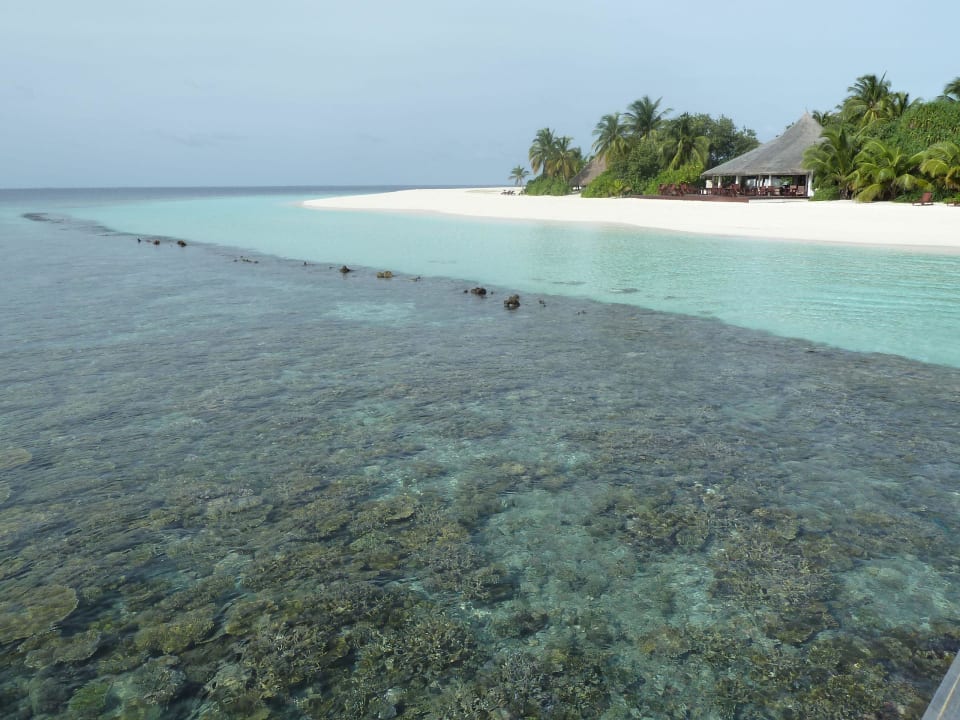 Hausriff Angaga Island Resort