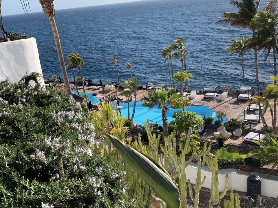 Pool Dreams Jardín Tropical