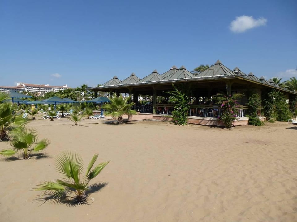 Strandbar Paloma Oceana