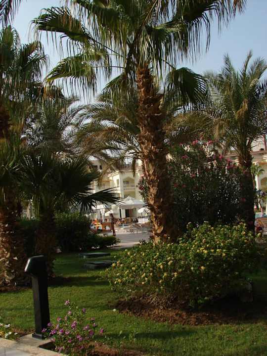 Garten The Grand Hotel Hurghada
