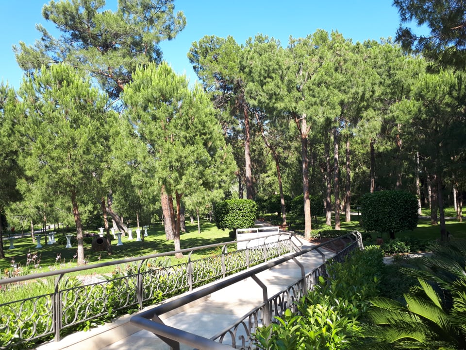 Gartenanlage Balmy Foresta