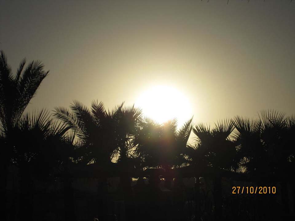 Sonnenuntergang Pickalbatros Palace Resort