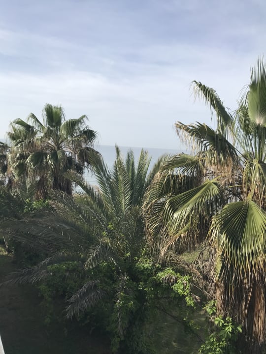 Ausblick Hotel Defne Dream