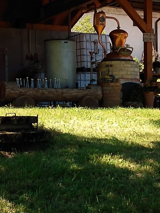 Sonstiges Ferienwohnungen Hugeseppehof