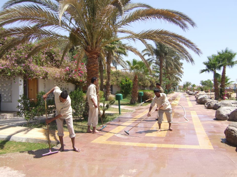 Уборка территории Shams Safaga Resort