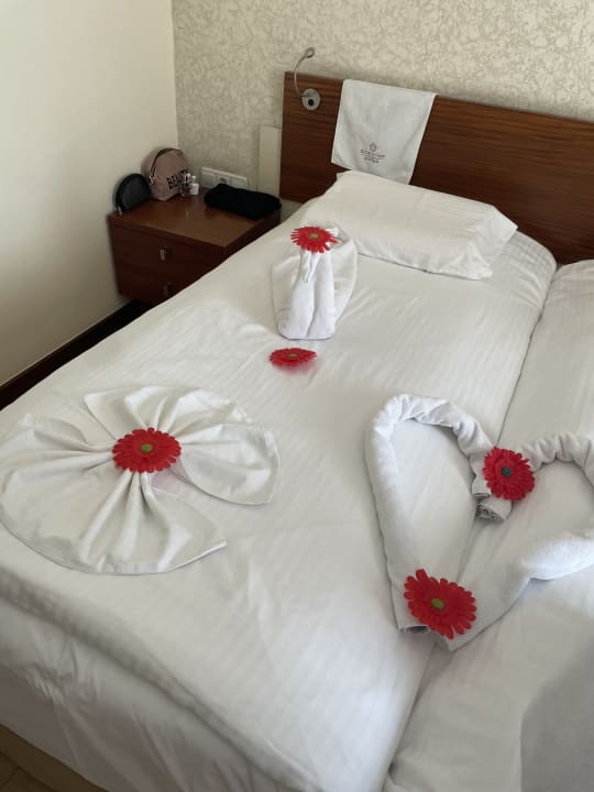 Zimmer Side Star Beach