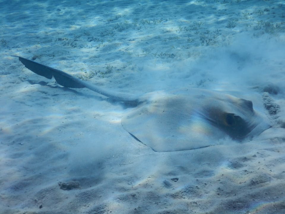 Sport & Freizeit Malikia Resort Abu Dabbab