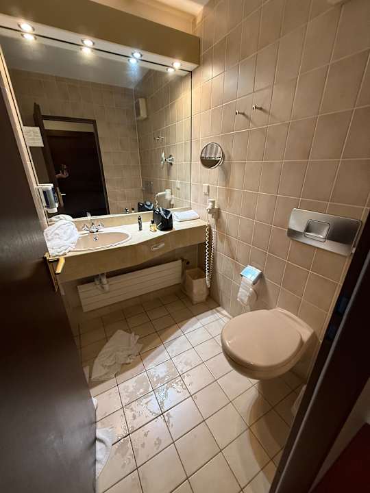 Zimmer Carathotel Basel