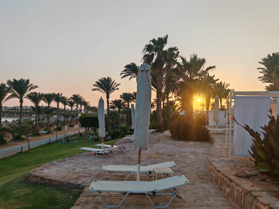 Gartenanlage Steigenberger Coraya Beach - Adults only