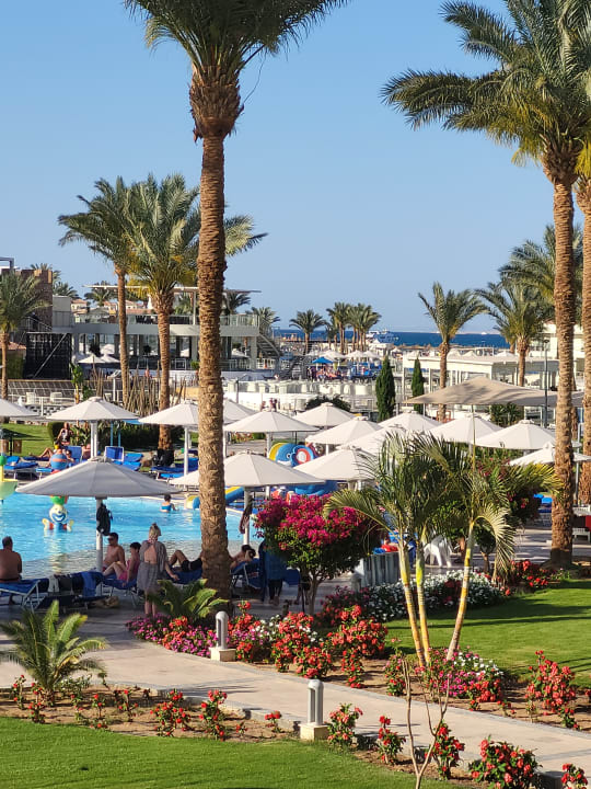 Ausblick Pickalbatros Dana Beach Resort - Hurghada