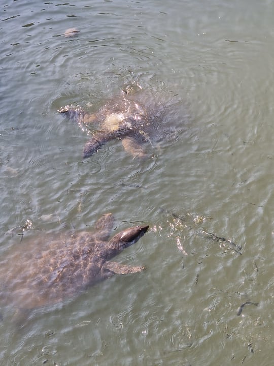Strand Sentido Trendy Verbena Beach