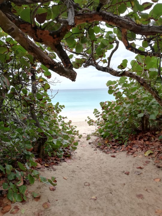 Strand Sirenis Tropical Varadero