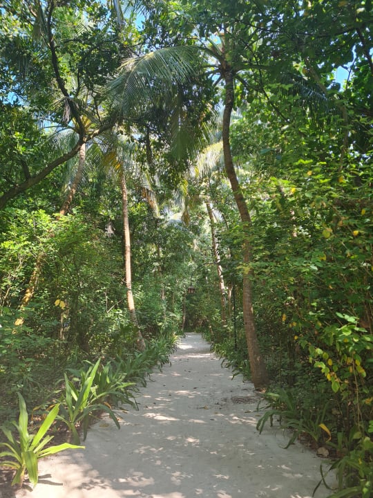 Gartenanlage NH Collection Maldives Reethi Resort