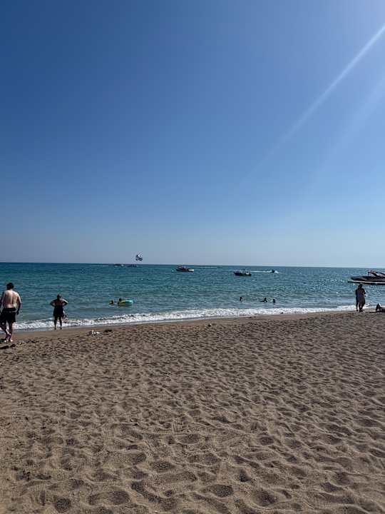 Strand Delphin BE Grand