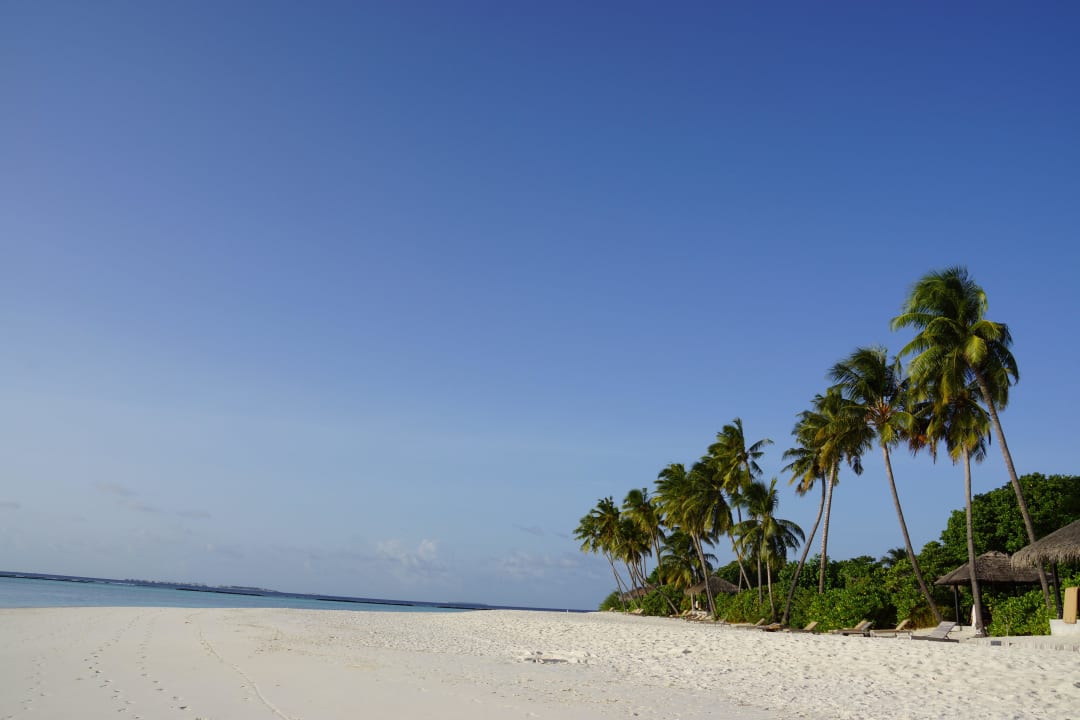 Feiner Sandstrand Sun Siyam Iru Fushi