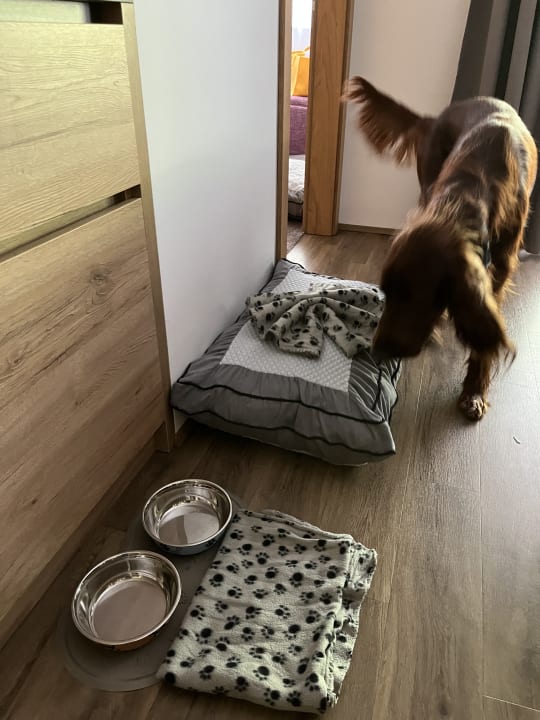 Zimmer Active Nature Resort DAS SeeMOUNT